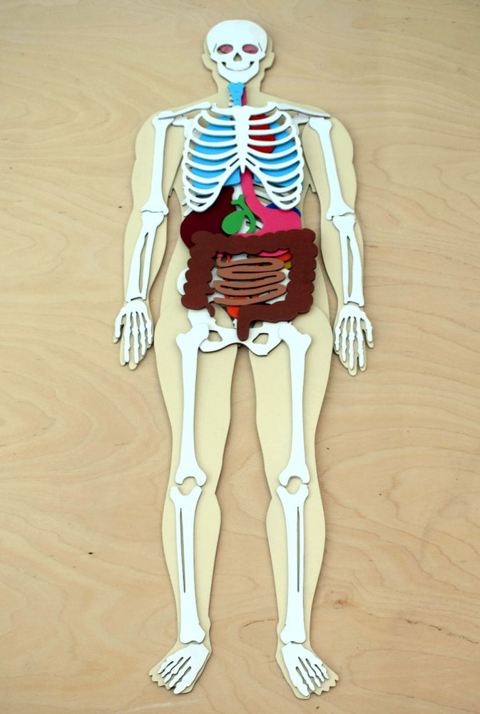 Wooden Human Body Model - مجسم خشبي لجسم الإنسان