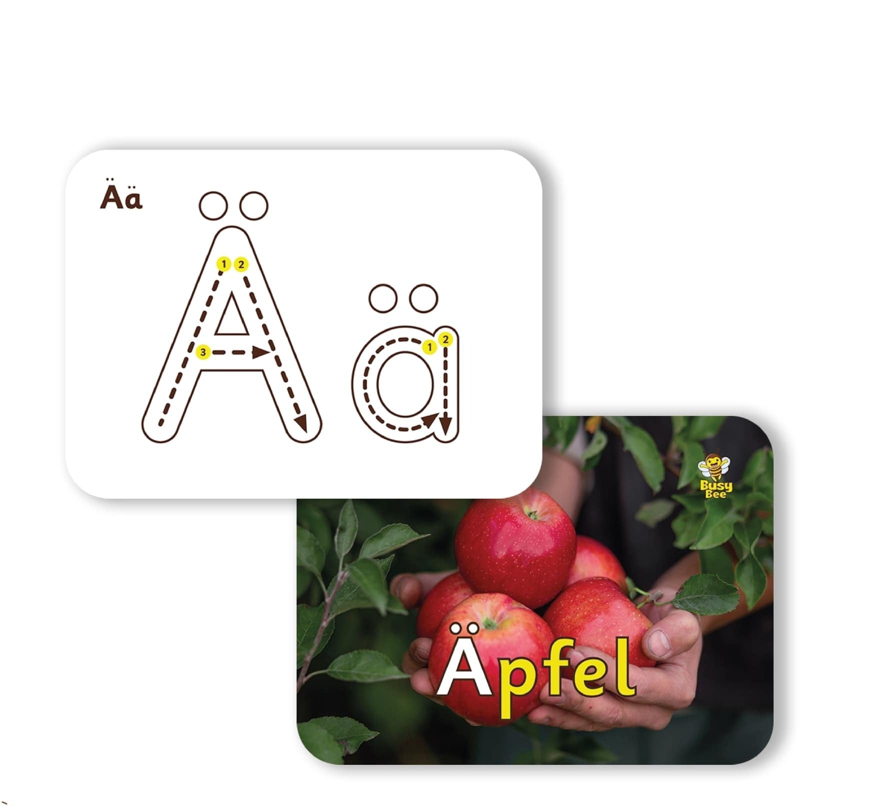 Alphabet Tracing Flashcards (in 4 languages)