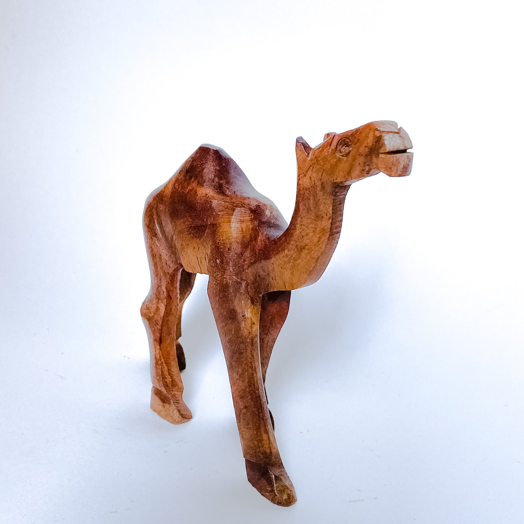 Wooden Camel -  جمل خشبي