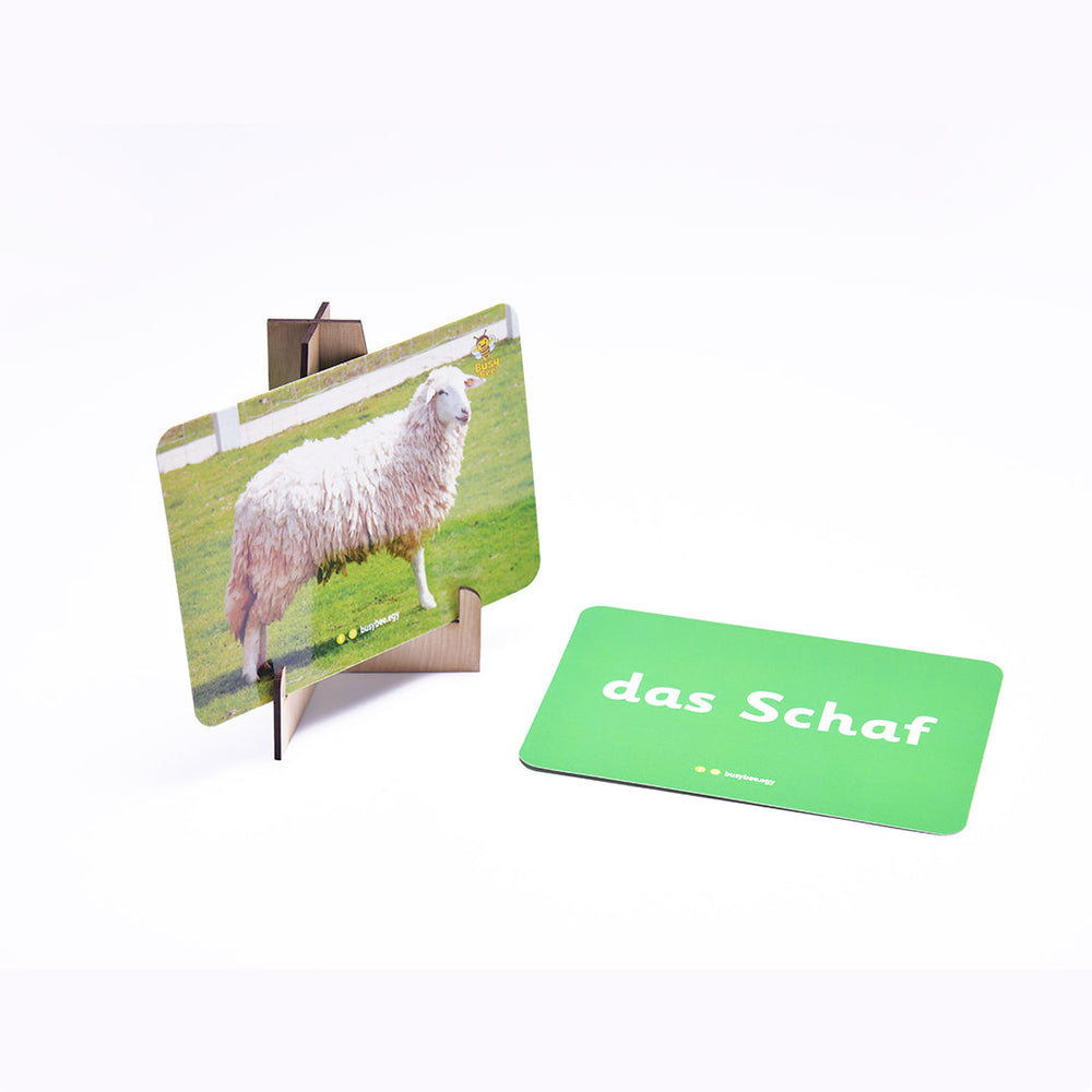 German Animals Flashcards