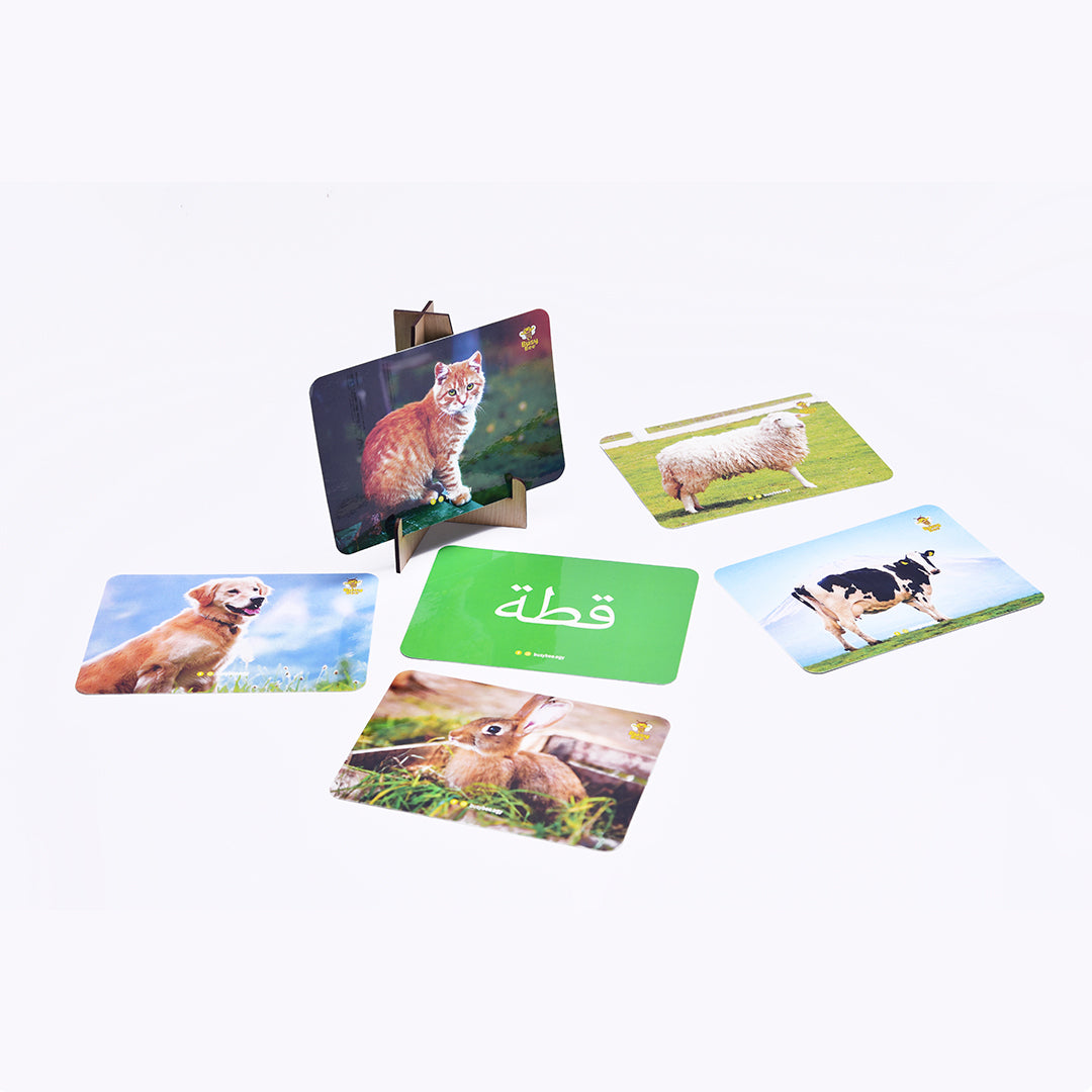 Animals Flashcards (in 4 Languages)