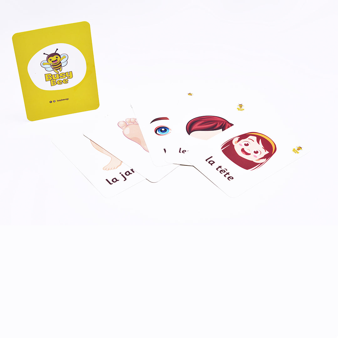 Body Parts Flashcards (in 4 Languages)