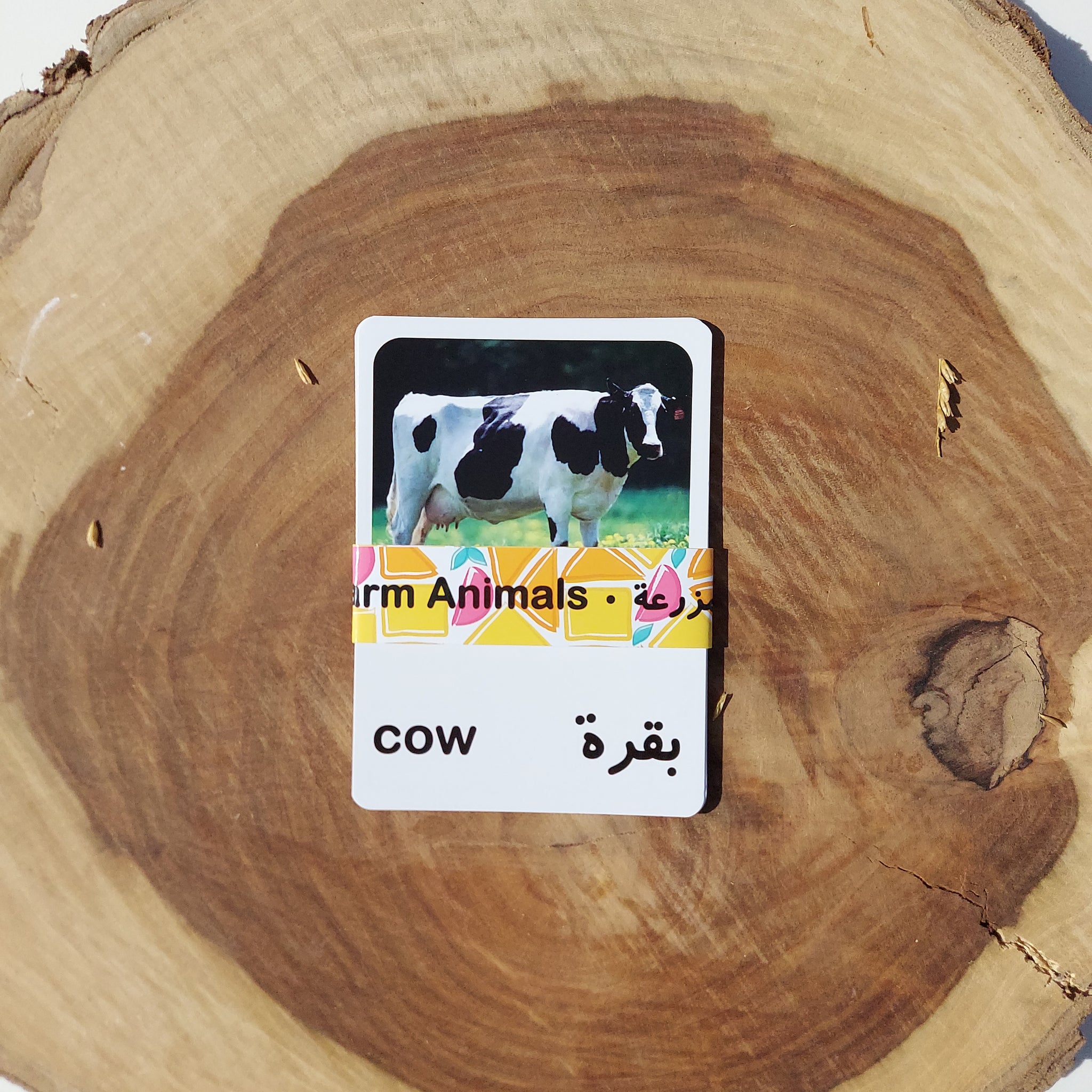 Farm Animals Sensory Kit
